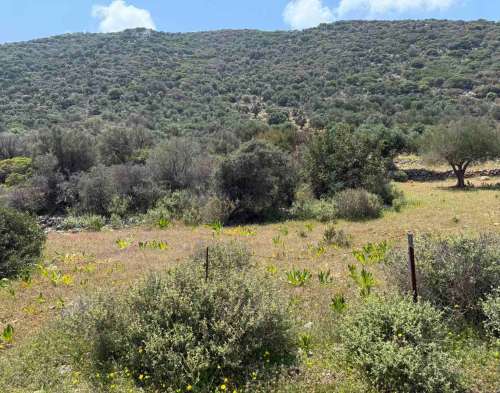 new property image