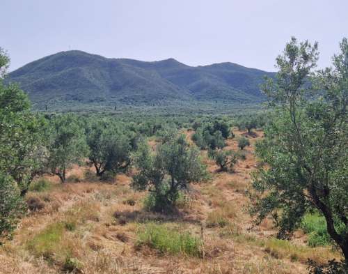 new property image
